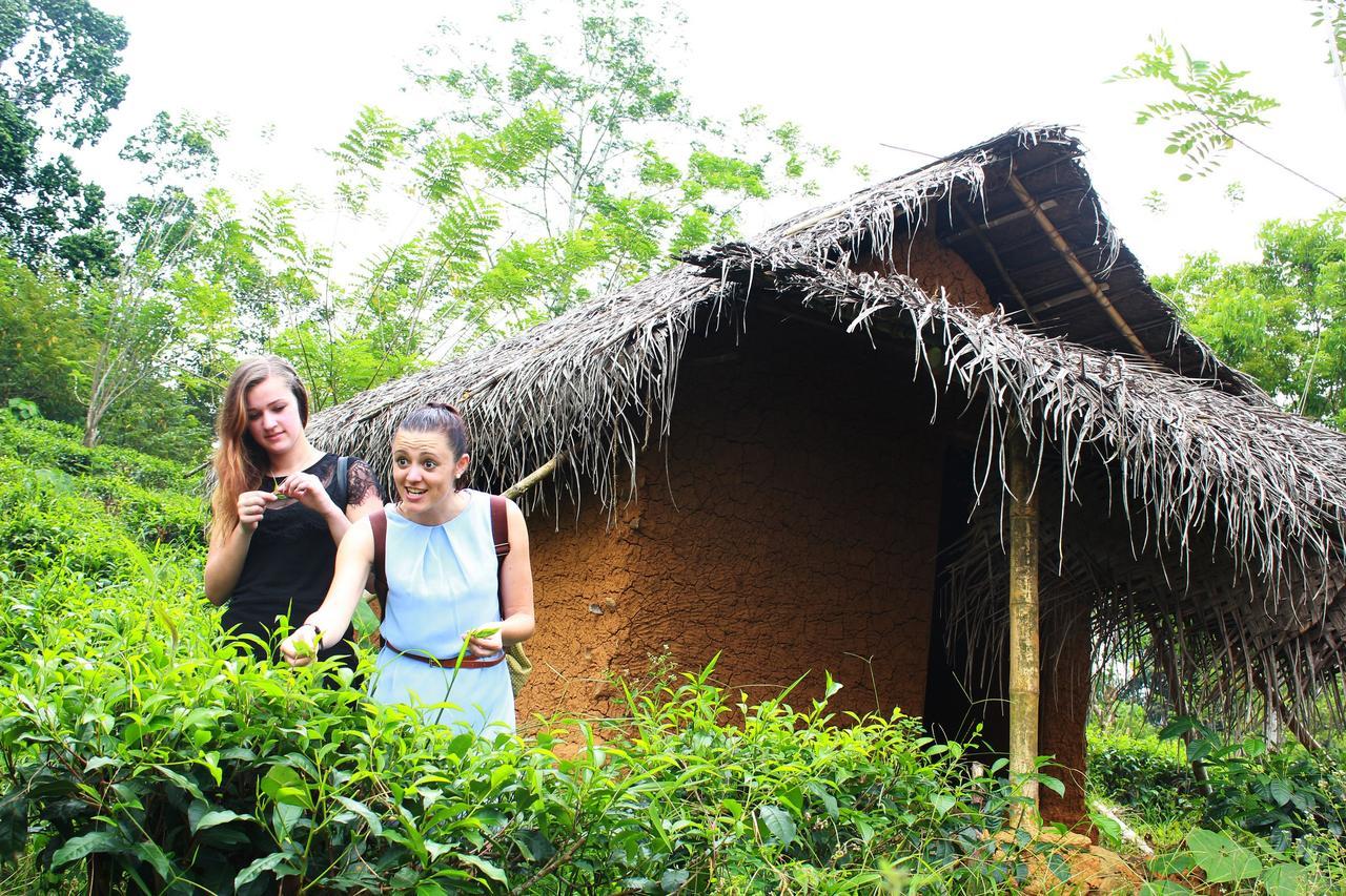 Bedda Eco Cottages Deniyaya Zewnętrze zdjęcie